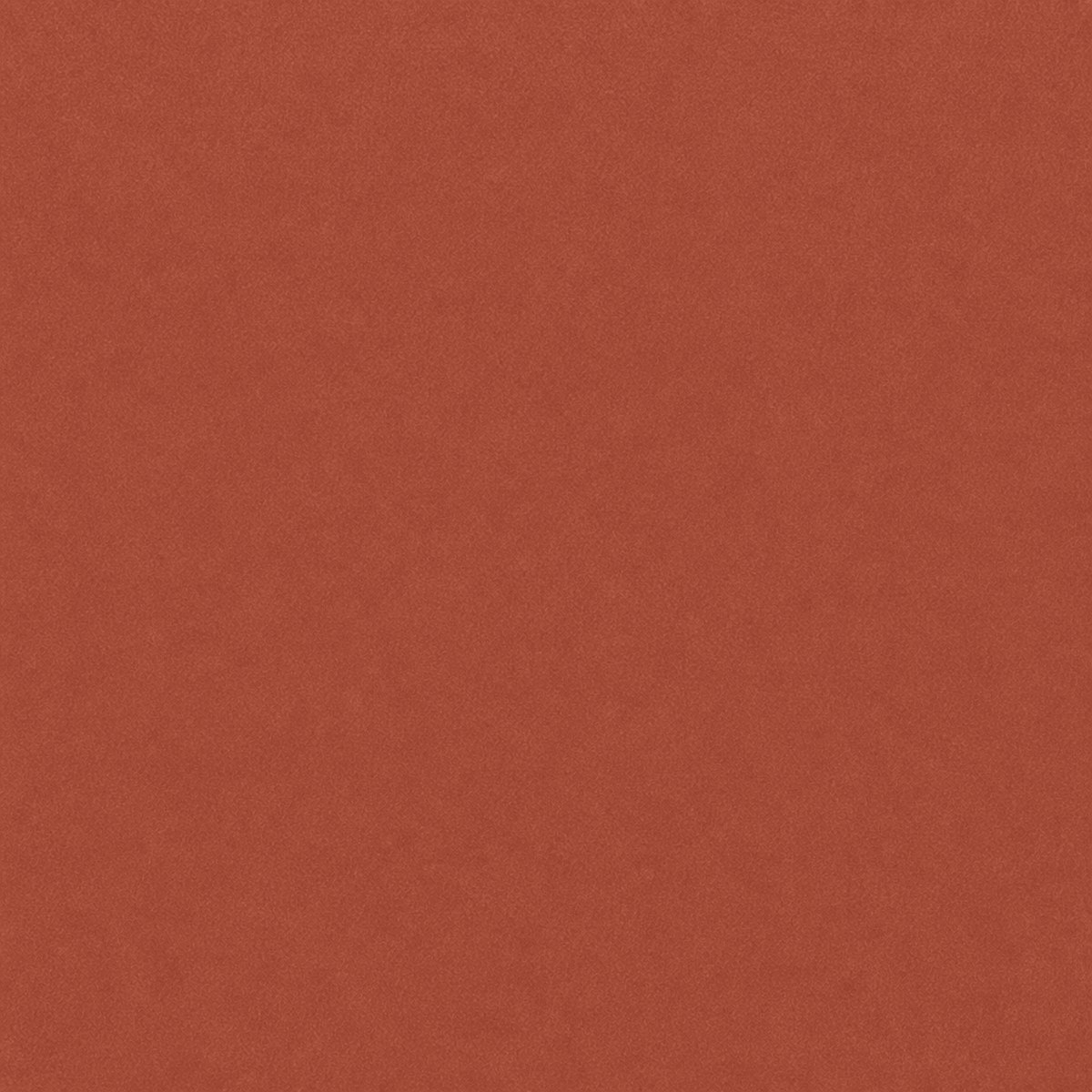 Digital macro texture study of Harappa Terracotta flock