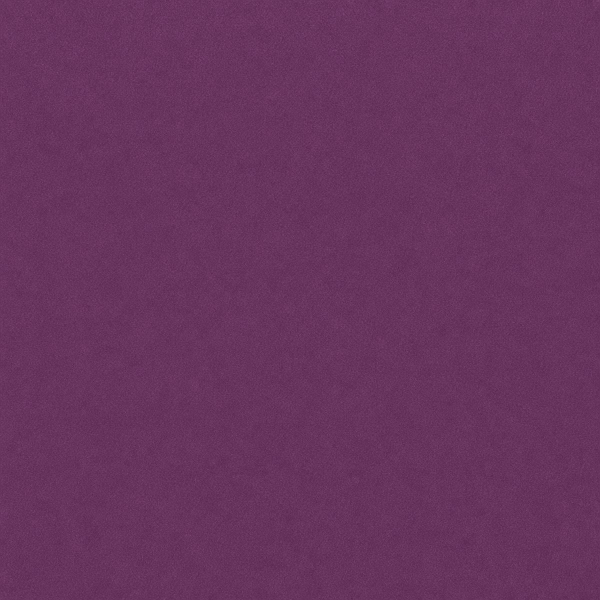 Digital macro texture study of Mulberry Velvet flock