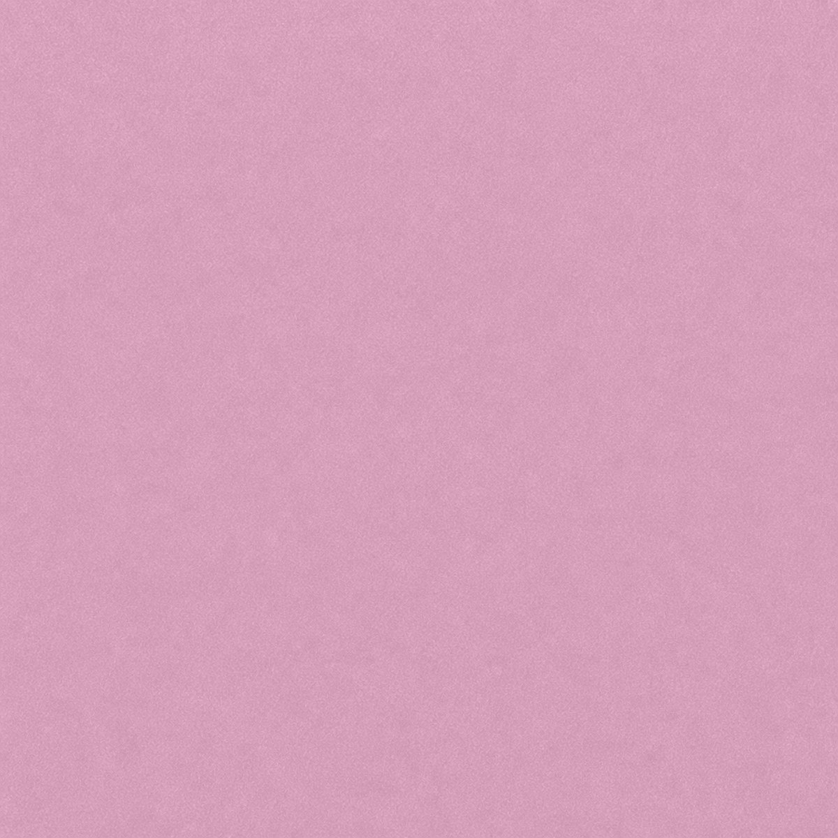 Digital macro texture study of Rose Quartz flock
