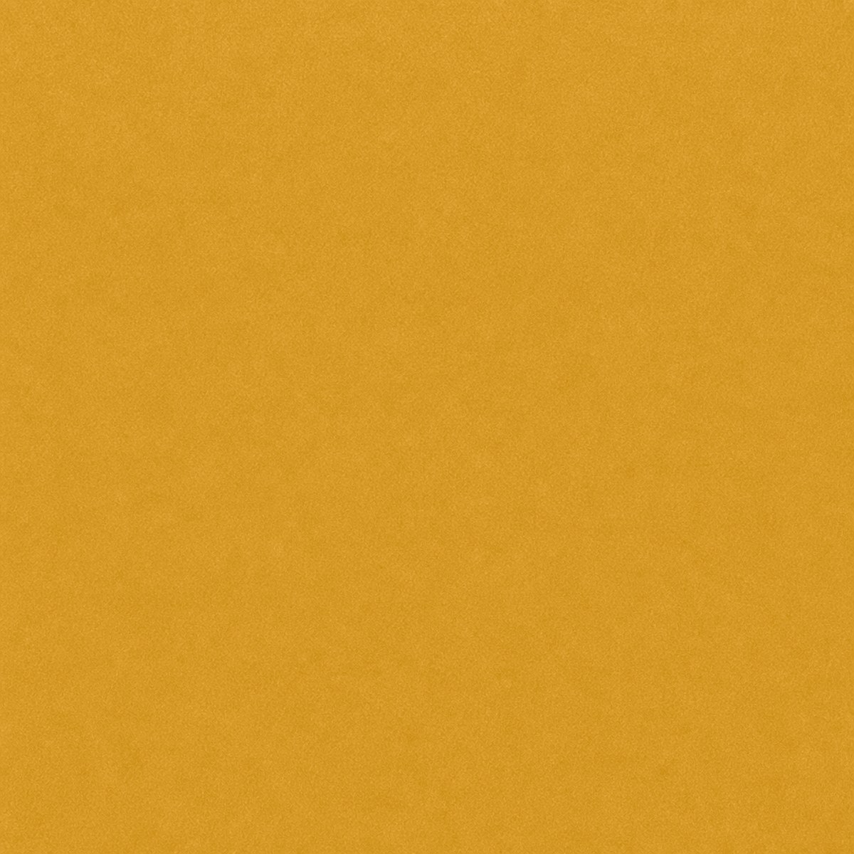 Digital macro texture study of Saffron Gold flock